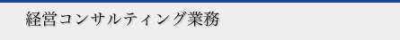 経営コンサルティング業務