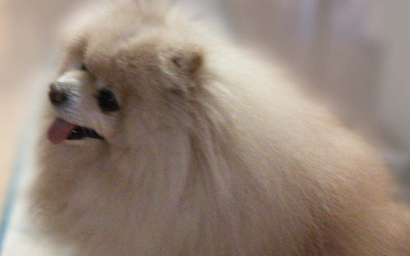 ����̳�긦����Ĺ